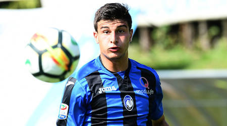 不仅能够帮 不仅能够帮