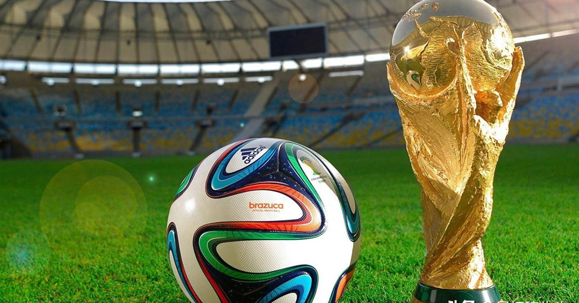 度成为焦点 度成为焦点