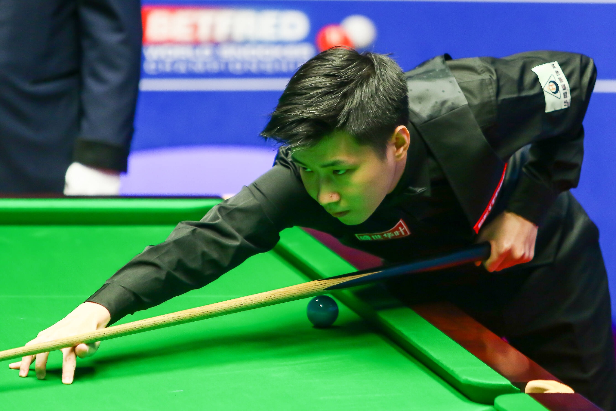 年的篇章中 年的篇章中