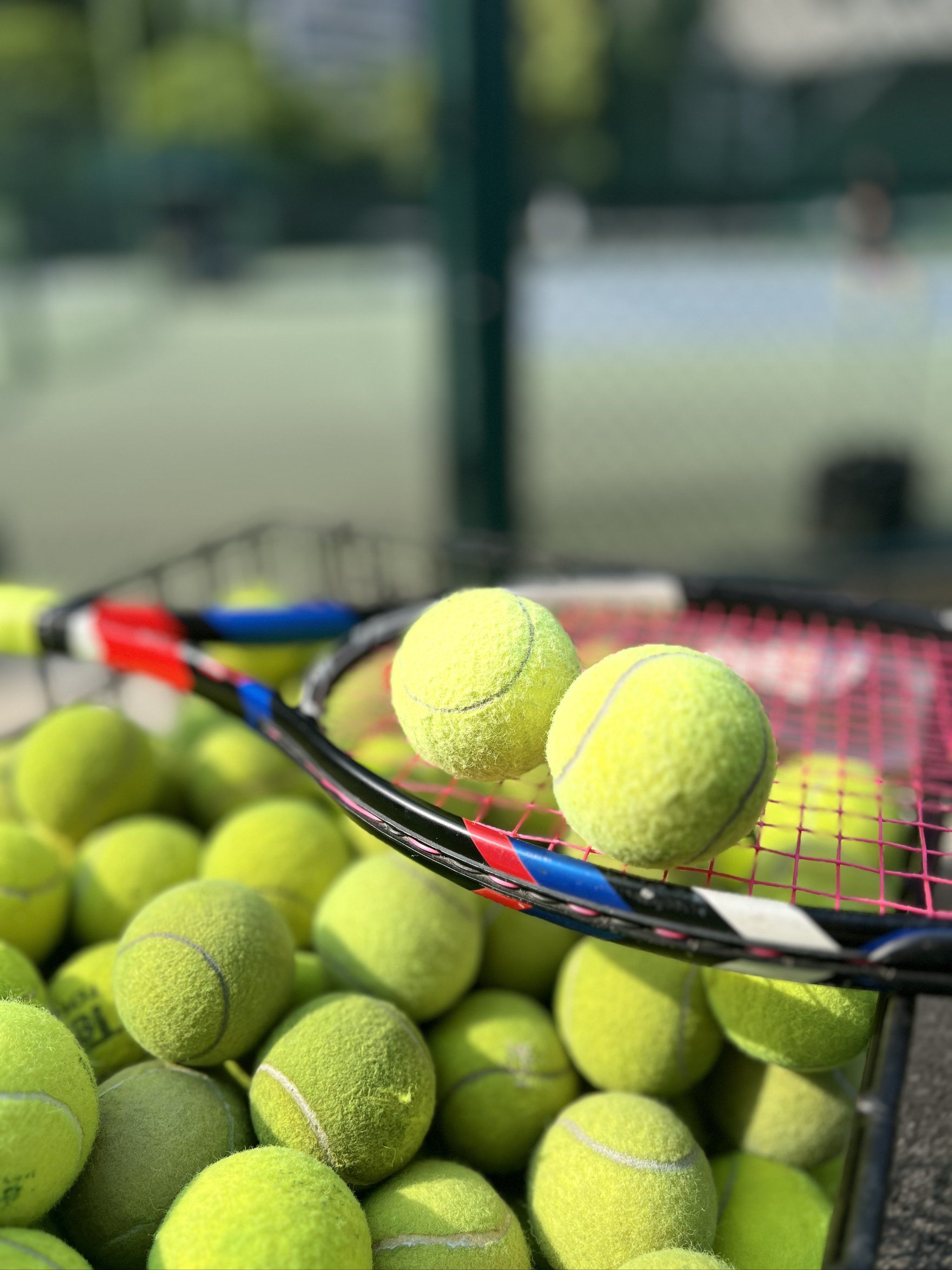 案例分析 案例分析